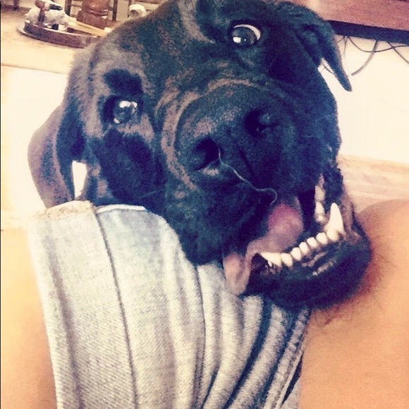 Meet your Posher, Julie - Picture 2 of 7